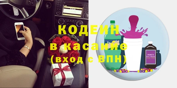 индика Балабаново