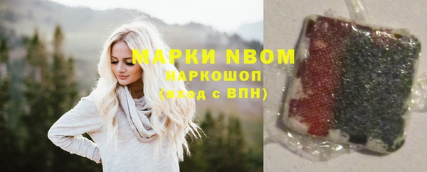 индика Балабаново