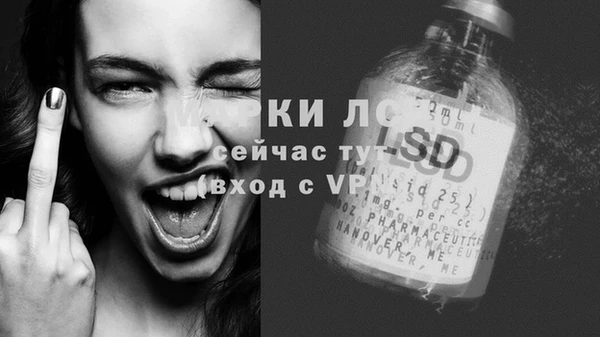 индика Балабаново